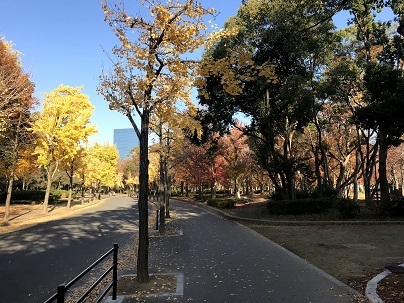 20191210_001536249_iOS